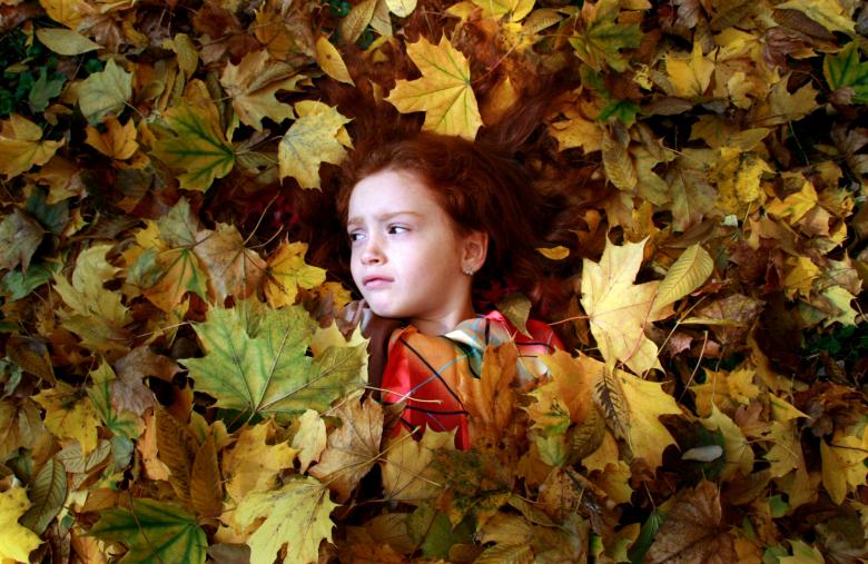 Free stock image of On the Ground created by Pixabay