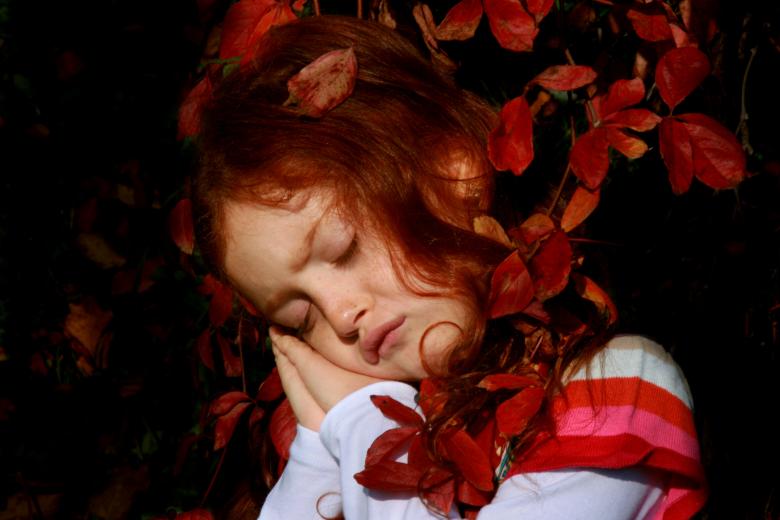 Free stock image of Sleep created by Pixabay