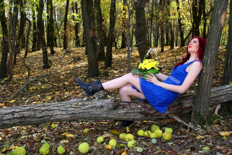 Free stock image of In the Woods created by Pixabay