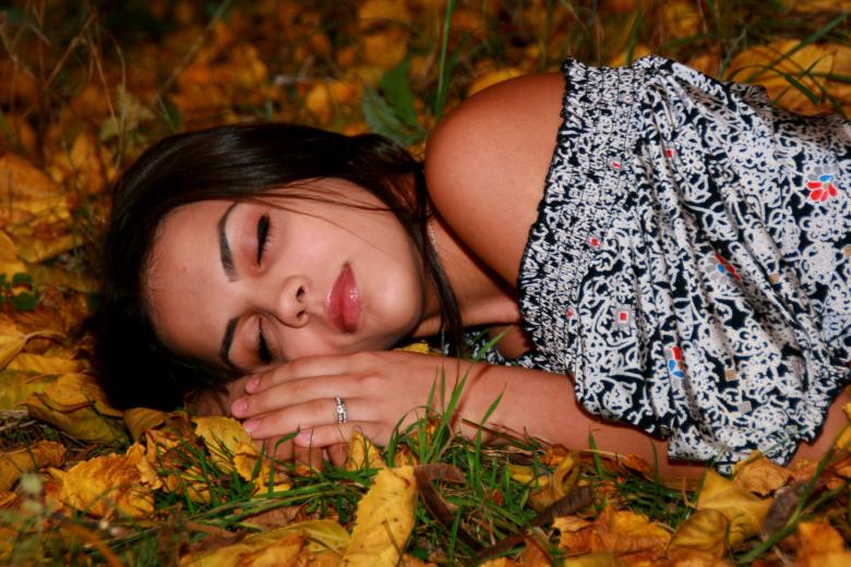 Free stock image of Sleeping Beauty created by Pixabay