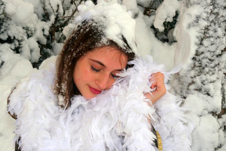 Free stock image of Snow Cover created by Pixabay