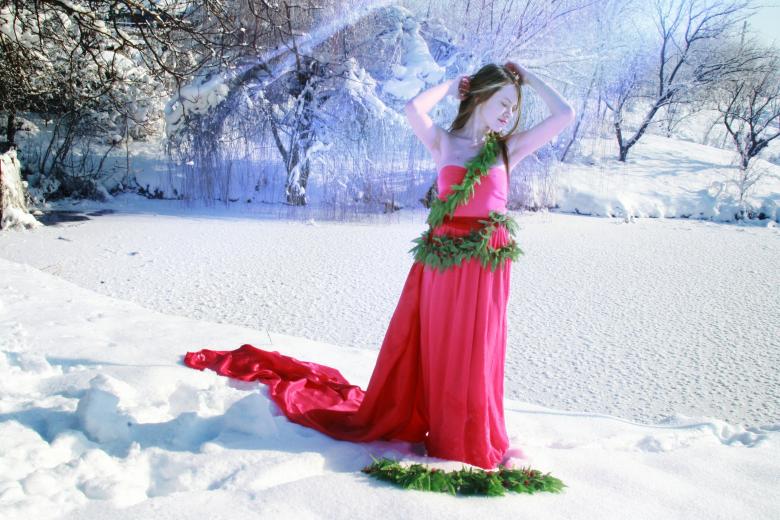 Free stock image of Beauty in Red created by Pixabay