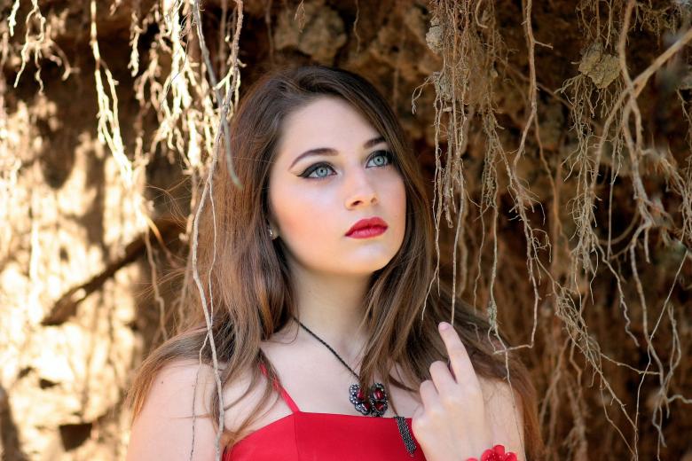 Free stock image of Beauty in Red created by Pixabay