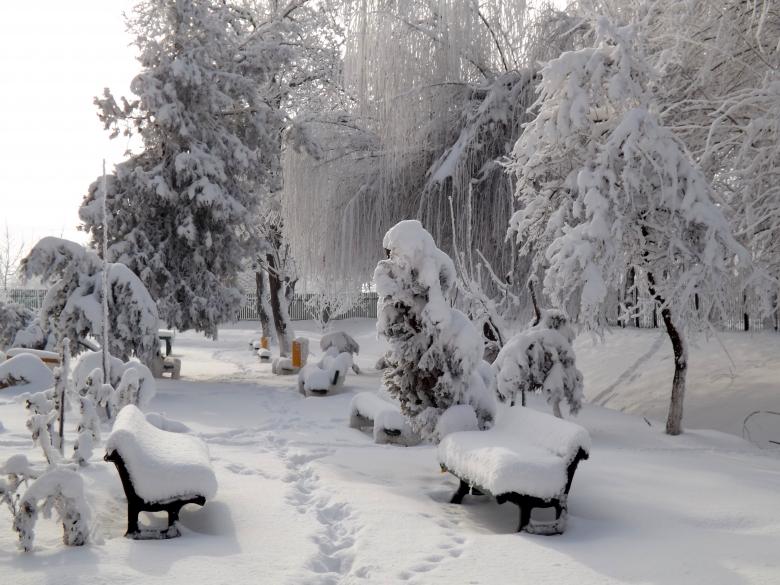 Free stock image of Park in Winter created by Pixabay