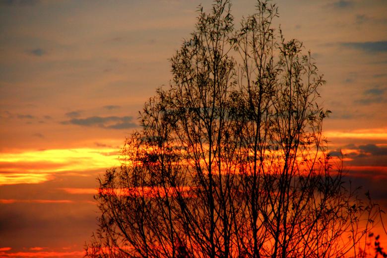 Free stock image of Colors of Nature created by Pixabay