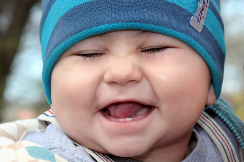 Free stock image of Adorable created by Pixabay
