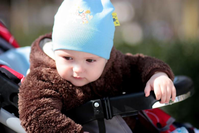 Free stock image of Cute created by Pixabay
