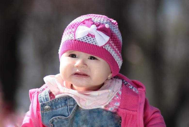 Free stock image of Cutie created by Pixabay