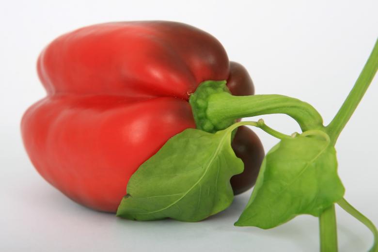 Free stock image of Veg created by Pixabay