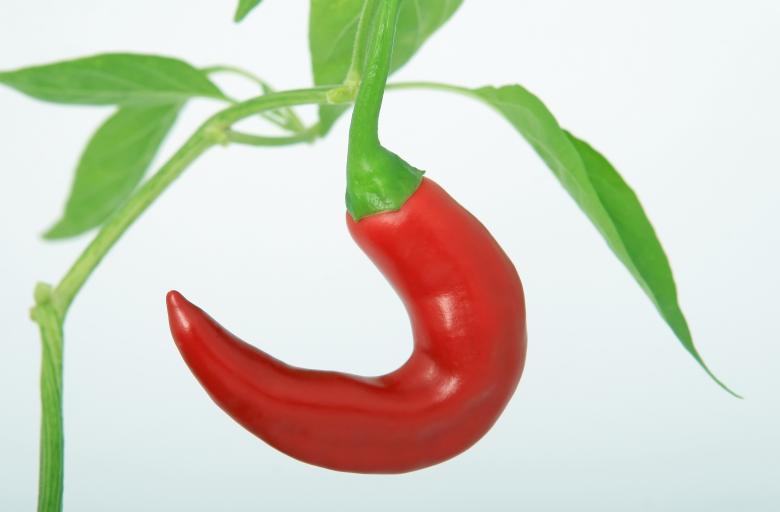 Free stock image of Red created by Pixabay