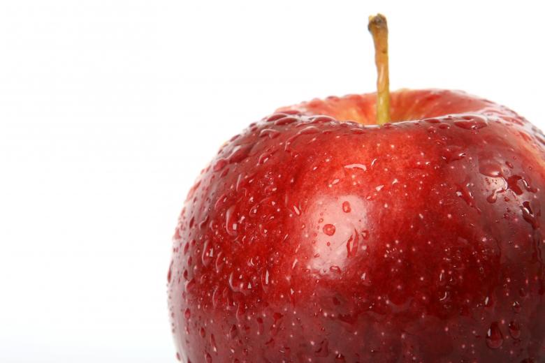 Free stock image of Fresh created by Pixabay