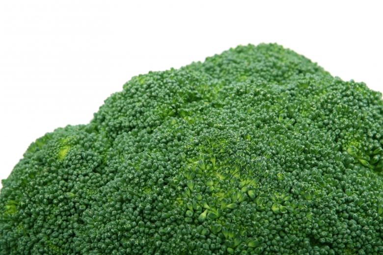 Free stock image of Green created by Pixabay
