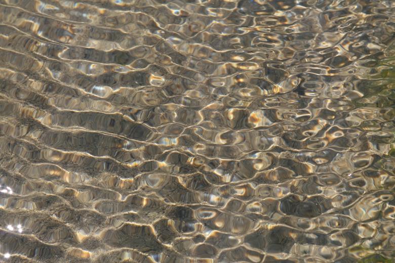 Free stock image of Aquatic created by Pixabay