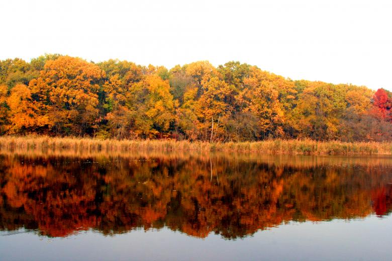 Free stock image of Mirror Effect created by Pixabay