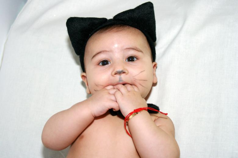 Free stock image of Little created by Pixabay