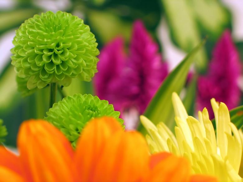 Free stock image of Garden created by Pixabay