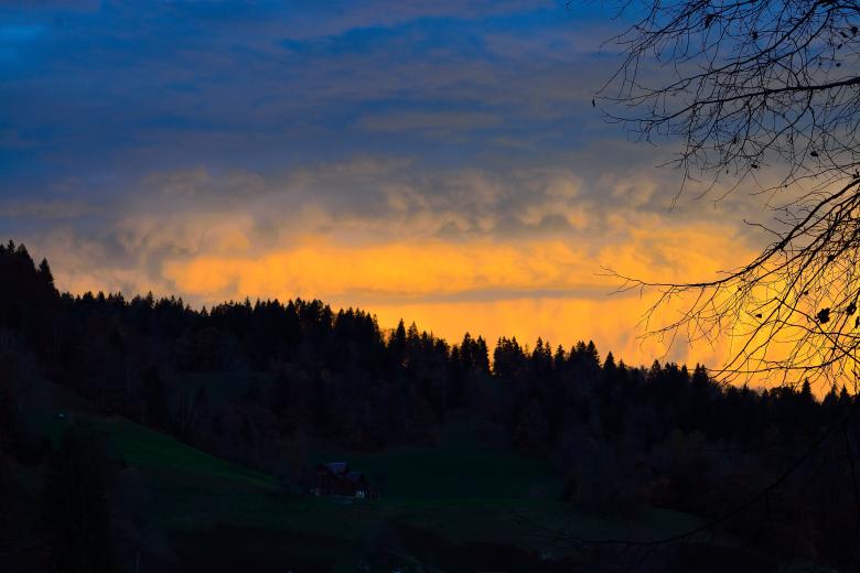 Free stock image of Nature created by Pixabay