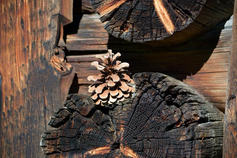 Free stock image of Wooden created by Pixabay