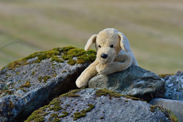 Free stock image of Stuffed Dog created by Pixabay
