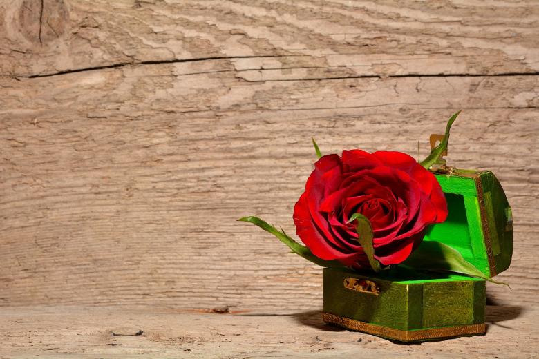 Free stock image of Rose in the Box created by Pixabay