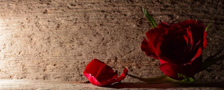 Free stock image of Red created by Pixabay