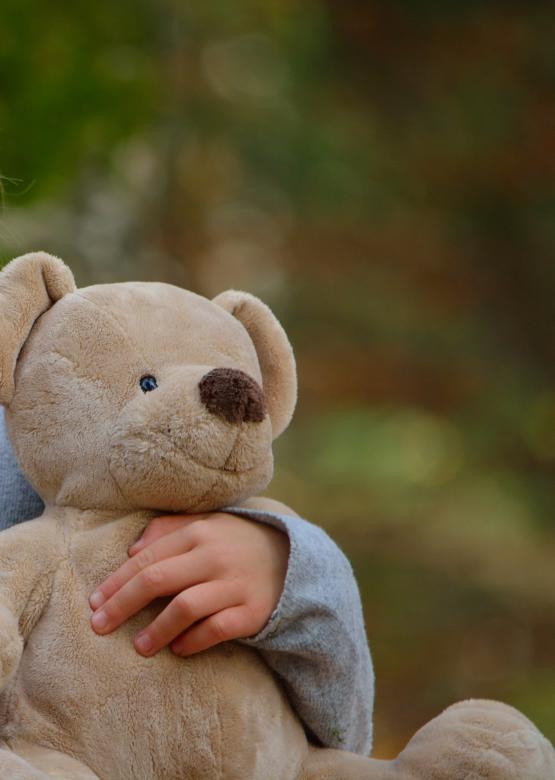 Free stock image of Ted created by Pixabay