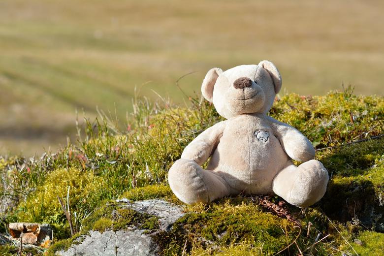 Free stock image of Teddy created by Pixabay