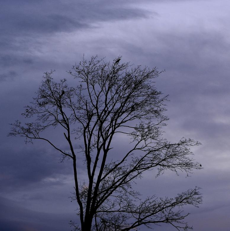 Free stock image of Lonely created by Pixabay