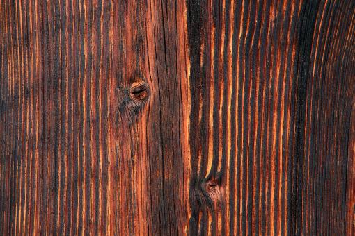 Wooden Texture - Free Stock Photo