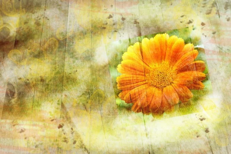Free stock image of Edit created by Pixabay
