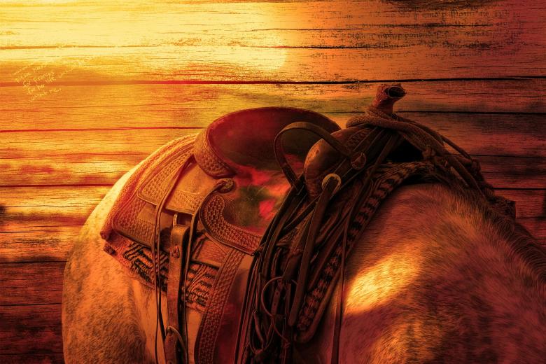 Free stock image of Horse's Back created by Pixabay