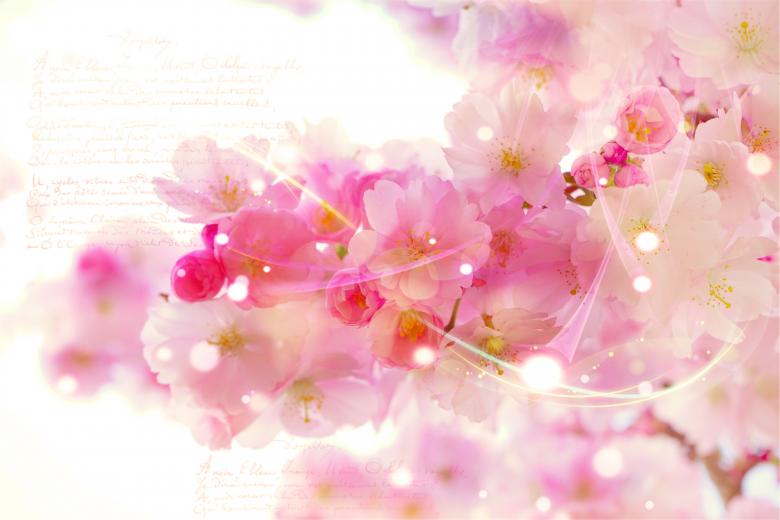 Free stock image of Pink Flowers created by Pixabay