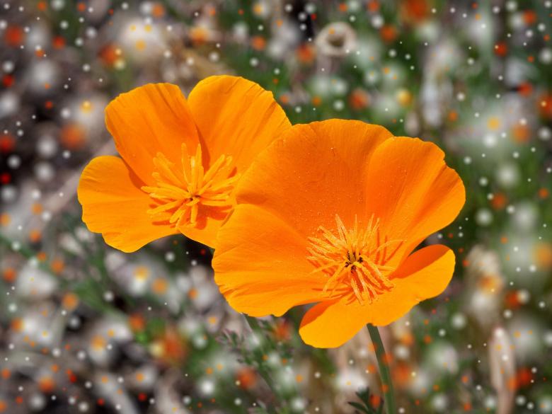 Free stock image of Edit created by Pixabay