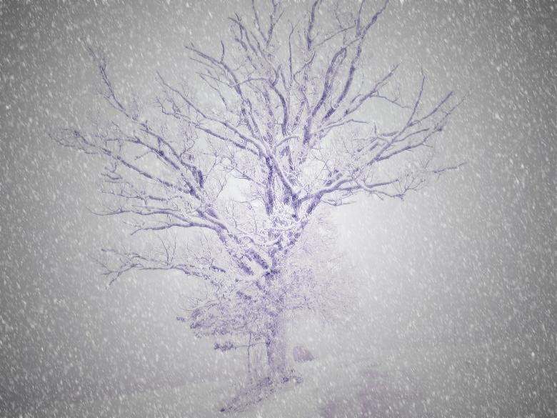 Free stock image of Surreal  created by Pixabay