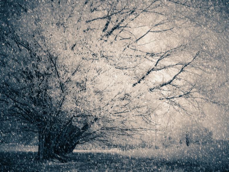 Free stock image of Snowfall created by Pixabay
