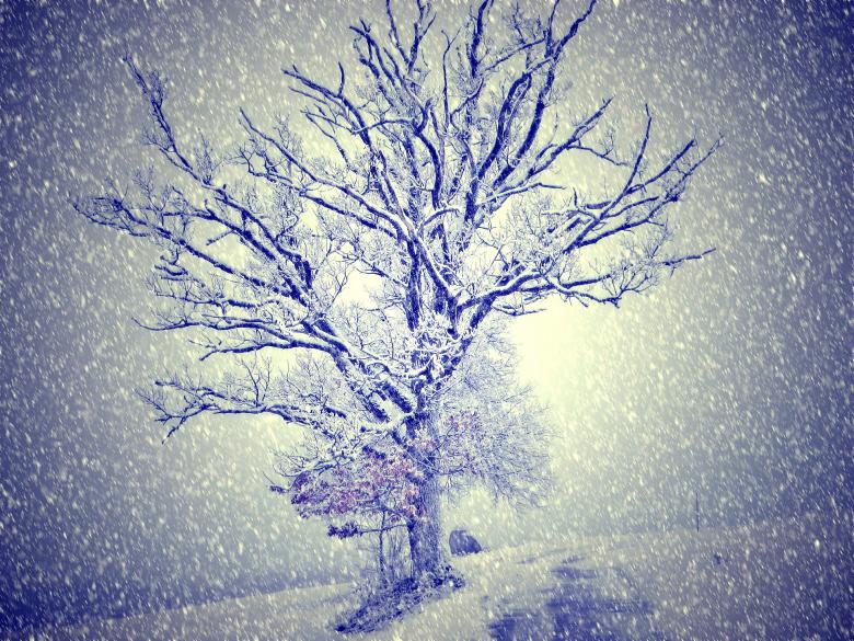 Free stock image of Winter created by Pixabay