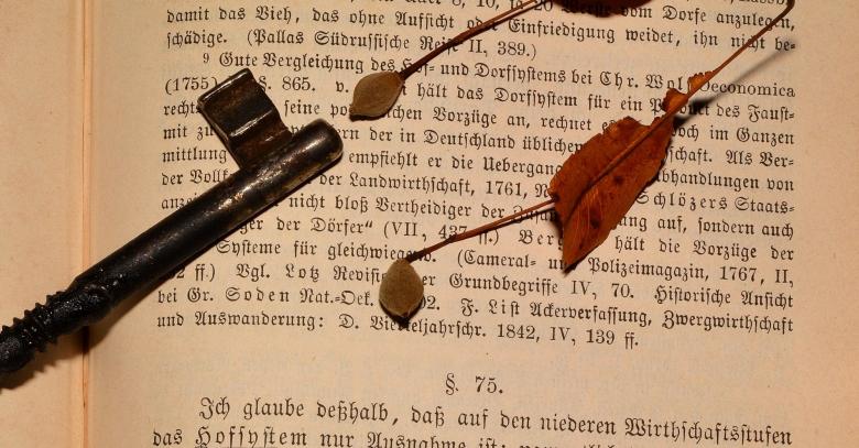 Free stock image of Novel created by Pixabay