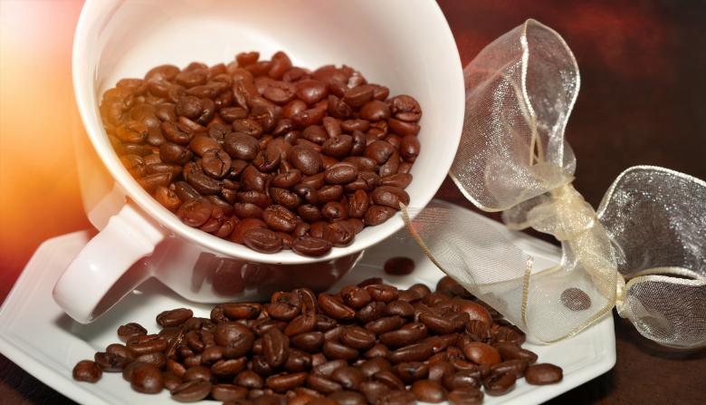 Free stock image of Brown created by Pixabay
