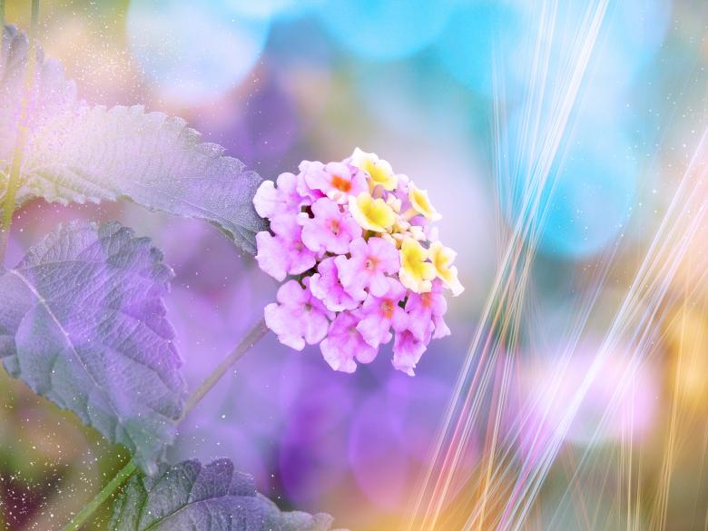 Free stock image of Flower created by Pixabay