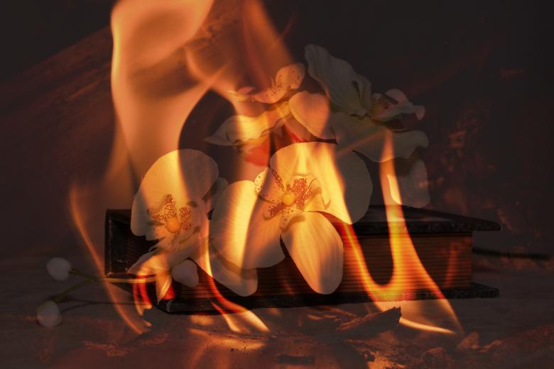 Free stock image of Fire created by Pixabay