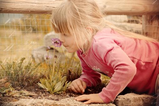Free Stock Photo of Cute