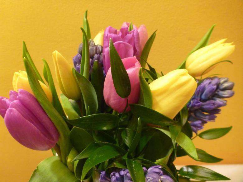 Free stock image of Flower Bouquet created by the fotak