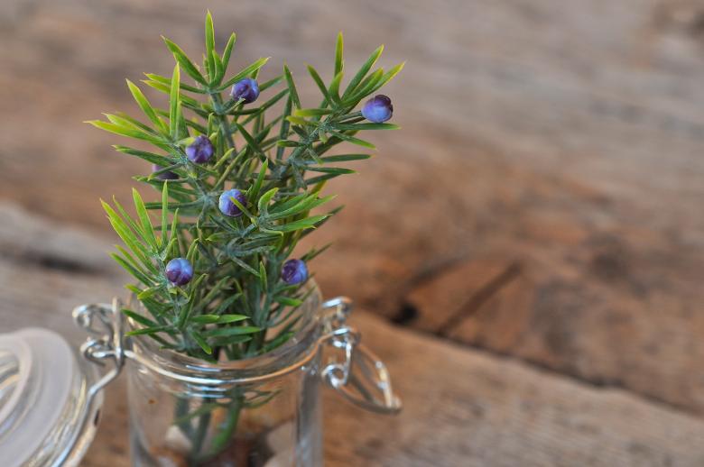Free stock image of Decoration created by Pixabay