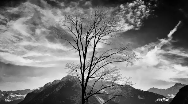 Free Stock Photo of Landscape