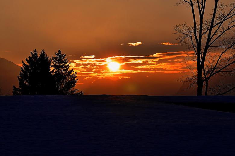 Free stock image of Nature created by Pixabay