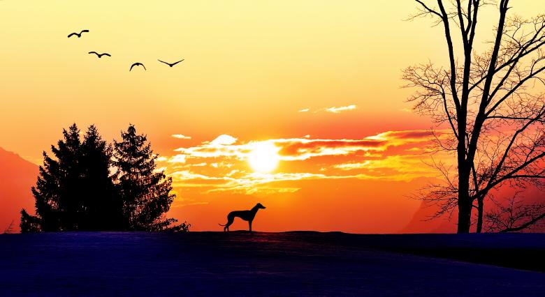Free stock image of Dog Painting created by Pixabay
