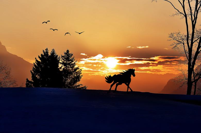 Free stock image of Horse Painting created by Pixabay