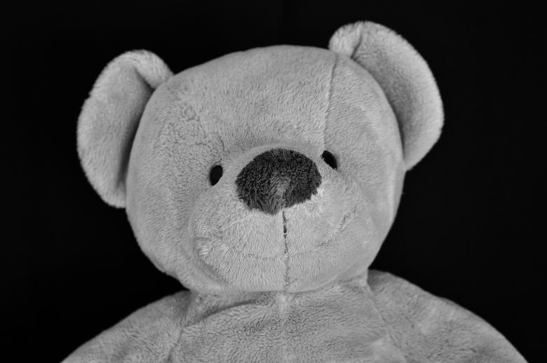 Free stock image of Bear created by Pixabay