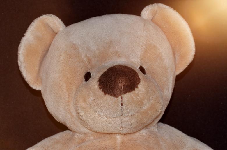 Free stock image of Ted created by Pixabay
