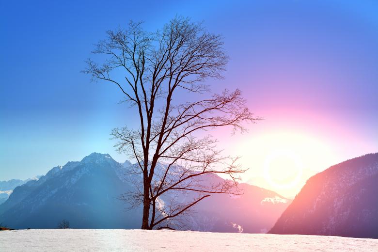 Free stock image of Winter created by Pixabay